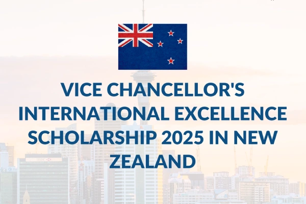 Vice chancellor’s International Excellence scholarship